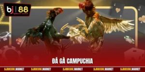Đá gà Campuchia