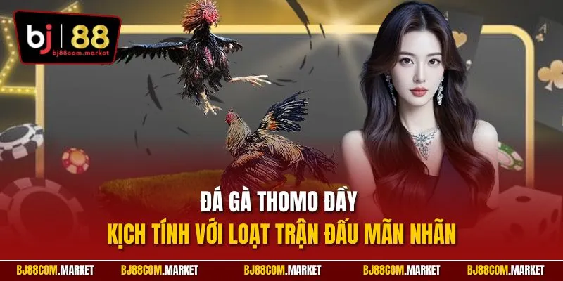 Đá gà Thomo đầy kịch tính với loạt trận đấu mãn nhãn