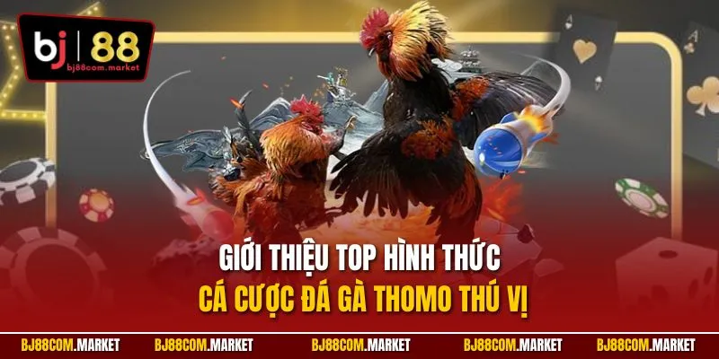 Giới thiệu top hình thức cá cược đá gà Thomo thú vị