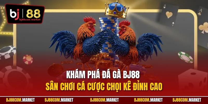 Khám phá đá gà BJ88 – Sân chơi cá cược chọi kê đỉnh cao