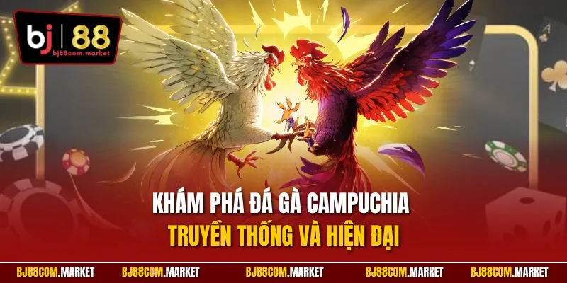 Khám phá đá gà Campuchia – truyền thống và hiện đại