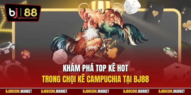 Khám phá top kê hot trong chọi kê Campuchia tại BJ88