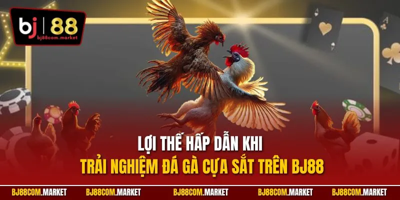 Lợi thế hấp dẫn khi trải nghiệm đá gà cựa sắt trên BJ88