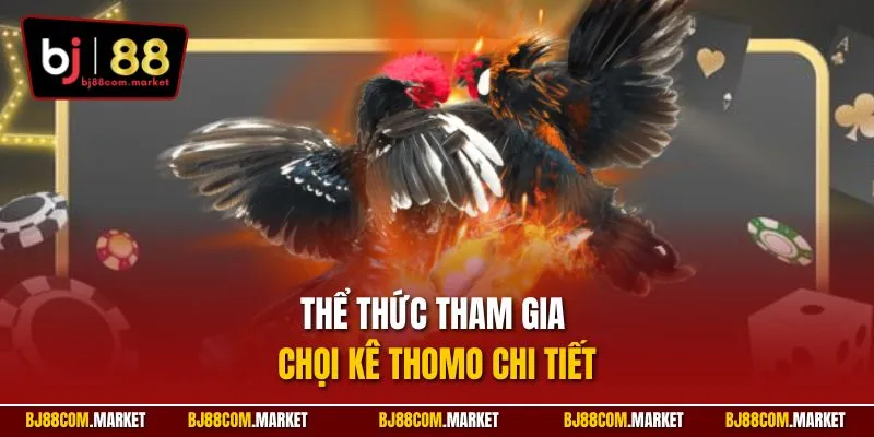 Thể thức tham gia chọi kê Thomo chi tiết