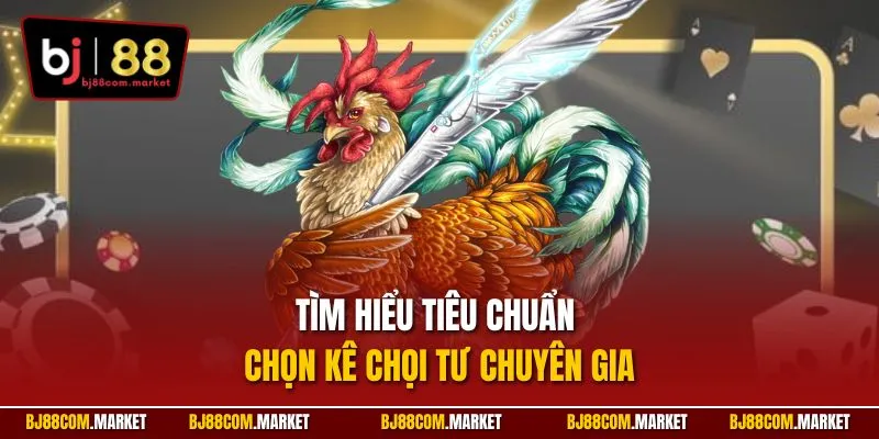 Tìm hiểu tiêu chuẩn chọn kê chọi tư chuyên gia