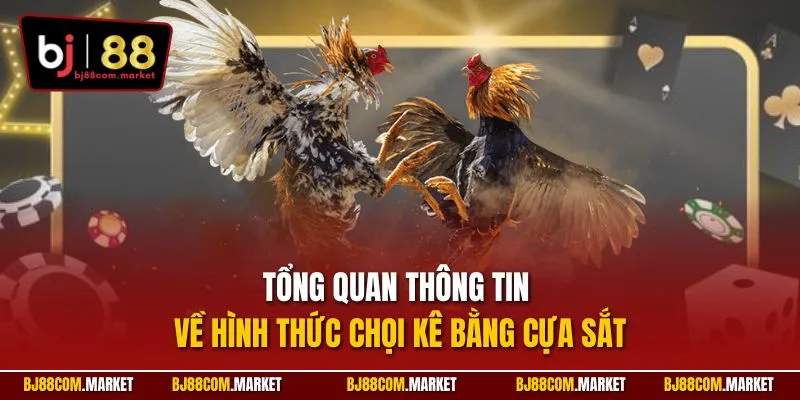 Tổng quan thông tin về hình thức chọi kê bằng cựa sắt